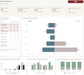 Gender Pipeline report page