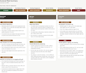 Risk Analysis report page