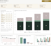 Member Stability report page